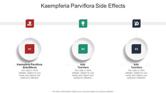 Kaempferia Parviflora Side Effects In Powerpoint And Google Slides Cpb
