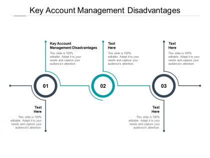 Key account management disadvantages ppt powerpoint presentation slides cpb