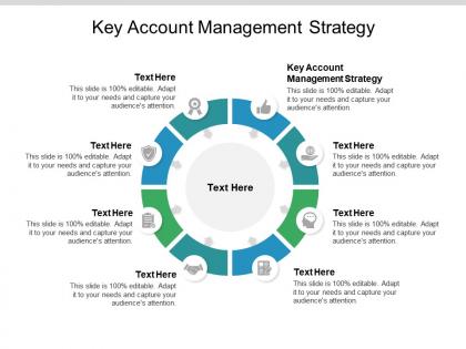 Key account management strategy ppt powerpoint presentation icon cpb