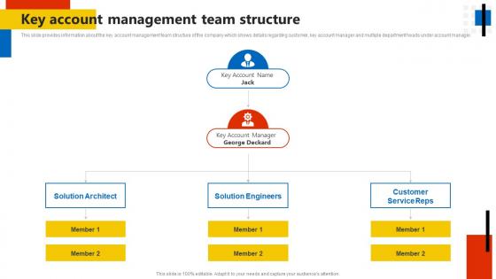 Key Account Management Team Structure Key Account Management Assessment