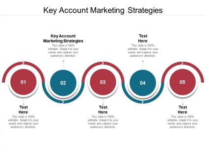 Key account marketing strategies ppt powerpoint presentation infographic template layout cpb