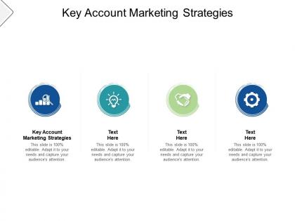 Key account marketing strategies ppt powerpoint presentation outline background cpb