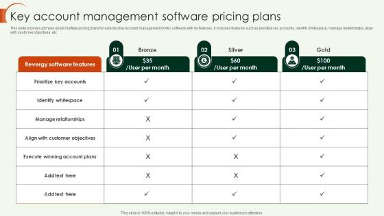 Key Account Strategy Key Account Management Software Pricing Plans Strategy SS V