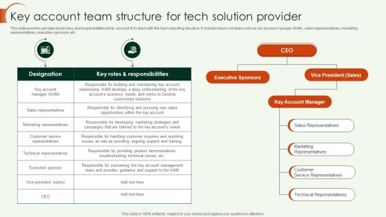 Key Account Strategy Key Account Team Structure For Tech Solution Provider Strategy SS V