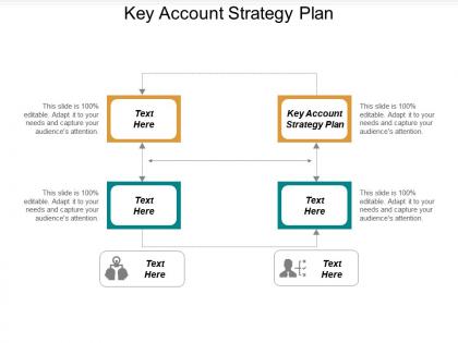 Key account strategy plan ppt powerpoint presentation portfolio graphics download cpb