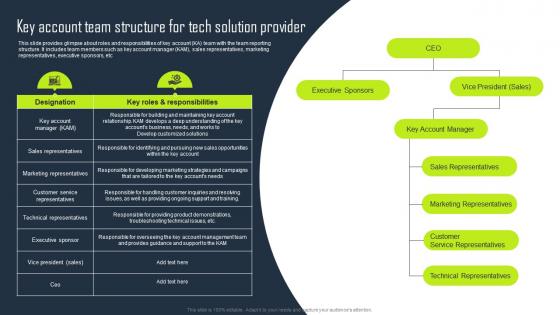 Key Account Team Structure For Tech Solution Provider Key Business Account Planning Strategy SS