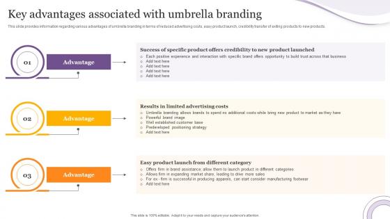Key Advantages Associated With Umbrella Branding Product Corporate And Umbrella Branding