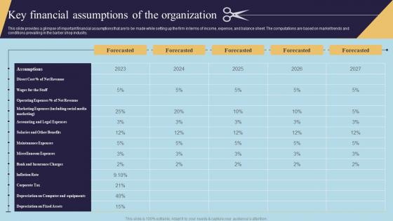 Key Assumptions Of The Organization Mens Grooming Business Plan BP SS