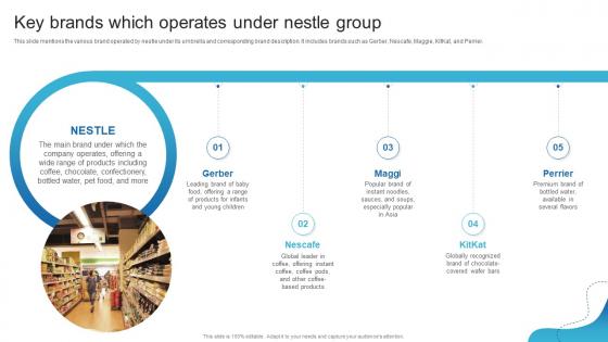 Key Brands Which Operates Under Nestle Group Detailed Analysis Of Nestles Marketing Strategy SS