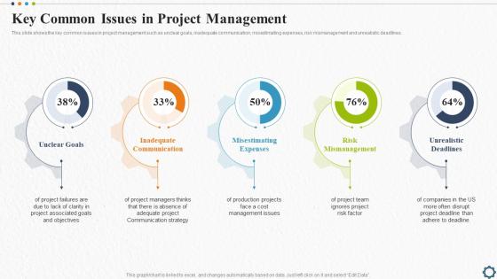 Key Common Issues In Project Management Strategic Plan For Project Lifecycle