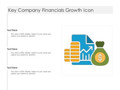 Key company financials growth icon