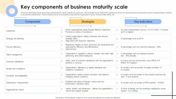 Key Components Of Business Maturity Scale