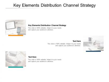 Key elements distribution channel strategy ppt powerpoint presentation professional cpb