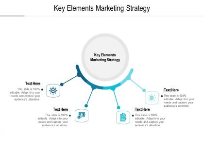 Key elements marketing strategy ppt powerpoint presentation pictures show cpb
