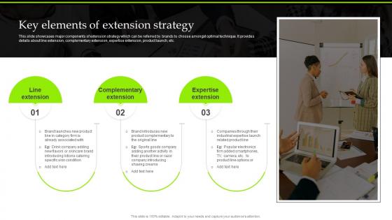 Key Elements Of Extension Strategy Introduction To Extension Strategy