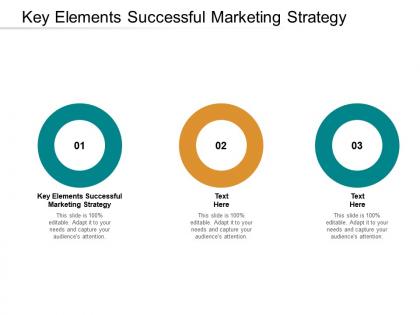 Key elements successful marketing strategy ppt powerpoint presentation layouts tips cpb