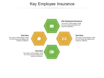 Key employee insurance ppt powerpoint presentation styles gallery cpb