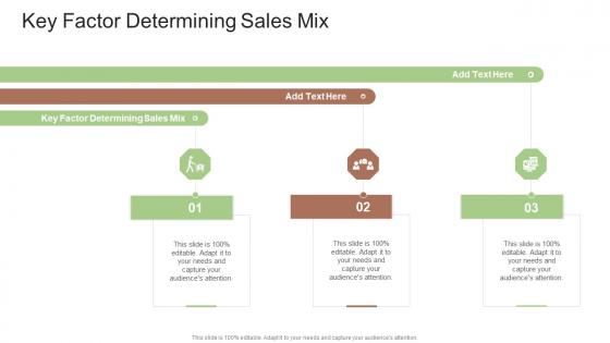 Key Factor Determining Sales Mix In Powerpoint And Google Slides Cpb