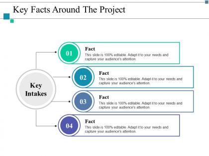 Key facts around the project key intakes fact ppt layouts example introduction
