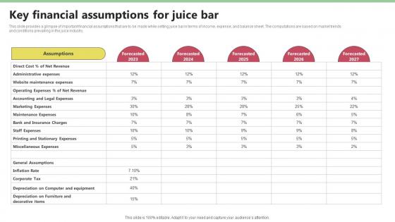 Key Financial Assumptions For Juice Bar Nekter Juice And Shakes Bar Business Plan Sample BP SS