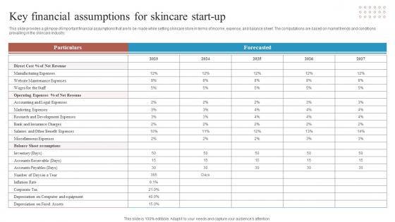 Key Financial Assumptions For Skincare Start Up Skincare Start Up Business Plan BP SS