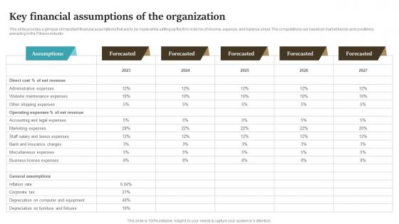 Key Financial Assumptions Of The Organization Drop Shipping Start Up BP SS