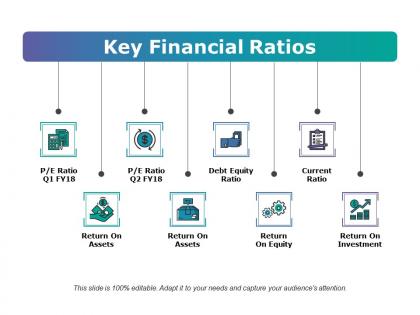 Key financial ratios ppt examples professional