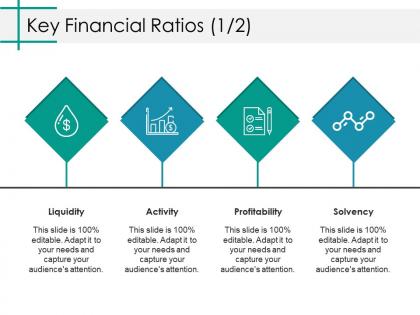 Key financial ratios ppt model shapes