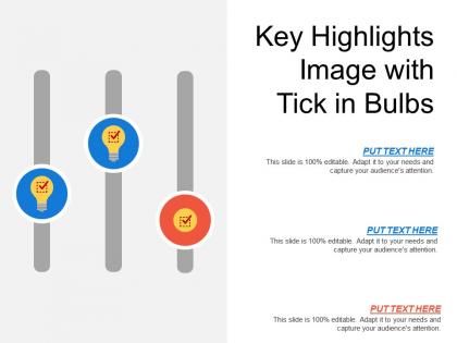 Key highlights image with tick in bulbs