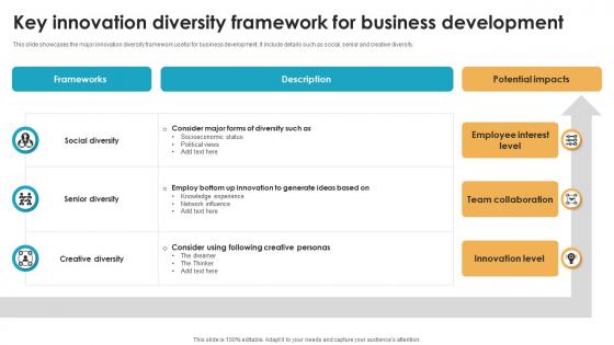 Key Innovation Diversity Framework For Business Development