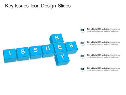 Key issues icon design slides