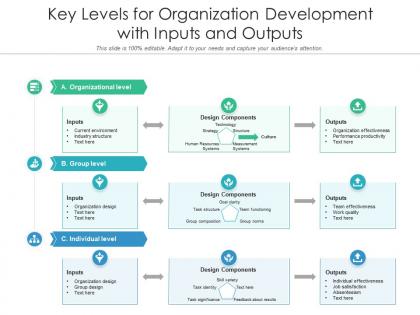 Key levels for organization development with inputs and outputs