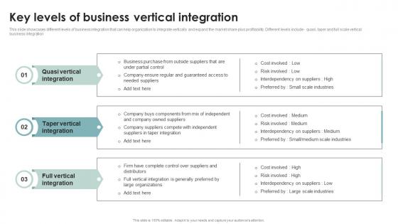 Key Levels Of Business Business Diversification Through Different Integration Strategies Strategy SS V