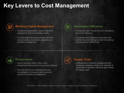 Key levers to cost management ppt summary gridlines