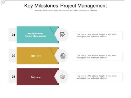 Key milestones project management ppt powerpoint presentation portfolio outfit cpb