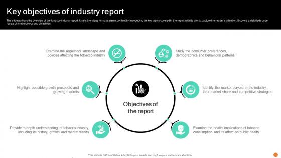 Key Objectives Of Industry Report Smoking Industry Report IR SS V