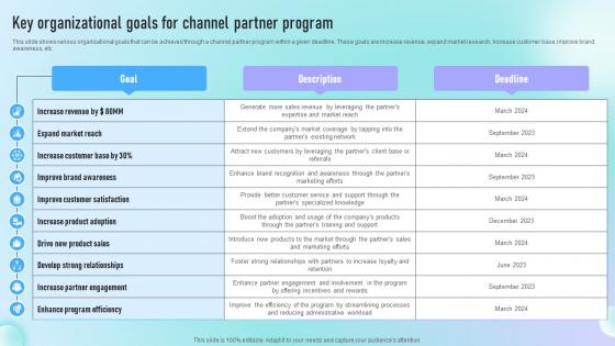 Key Organizational Goals For Channel Partner Guide To Successful Channel Strategy SS V