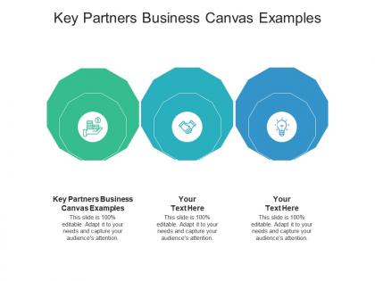 Key partners business canvas examples ppt powerpoint presentation gallery graphics tutorials cpb