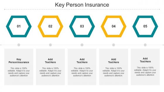 Key Person Insurance Ppt Powerpoint Presentation Styles Themes Cpb