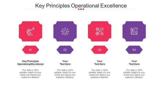 Key Principles Operational Excellence Ppt Powerpoint Presentation Infographics Cpb