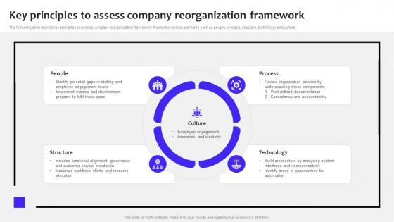 Key Principles To Assess Company Reorganization Framework