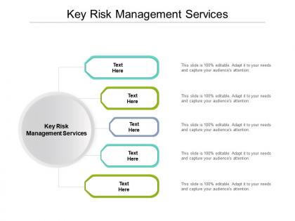Key risk management services ppt powerpoint presentation visual aids layouts cpb