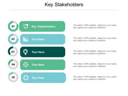 Key stakeholders ppt powerpoint presentation gallery graphics template cpb