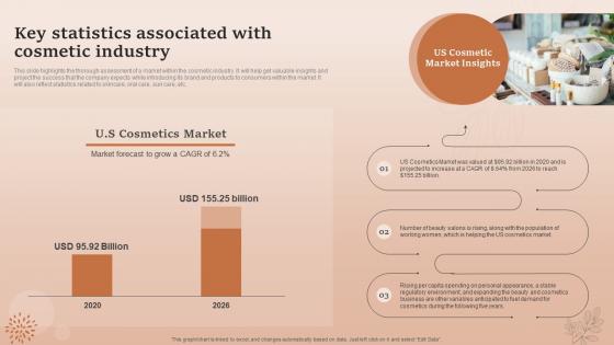 Key Statistics Associated With Cosmetic Industry Natural Cosmetic Business Plan BP SS