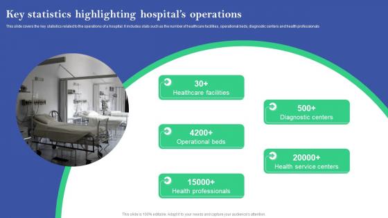 Key Statistics Highlighting Hospitals Operations Online And Offline Marketing Plan For Hospitals