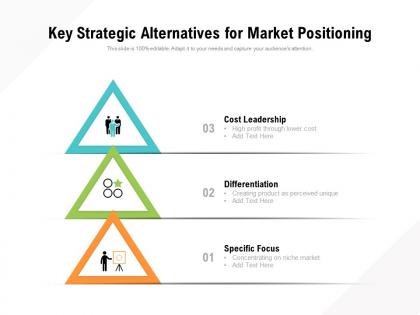 Key strategic alternatives for market positioning