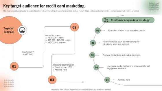 Key Target Audience For Credit Card Execution Of Targeted Credit Card Promotional Strategy SS V
