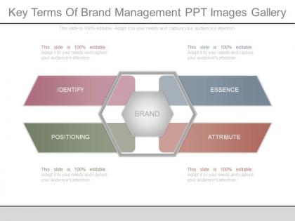 Key terms of brand management ppt images gallery