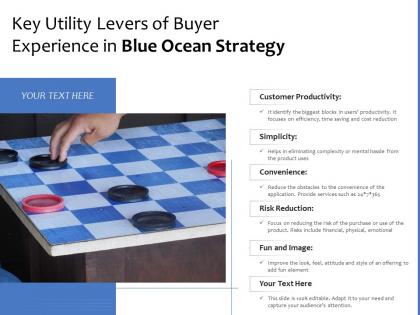 Key utility levers of buyer experience in blue ocean strategy
