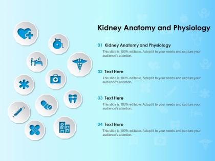 Kidney anatomy and physiology ppt powerpoint presentation layouts example